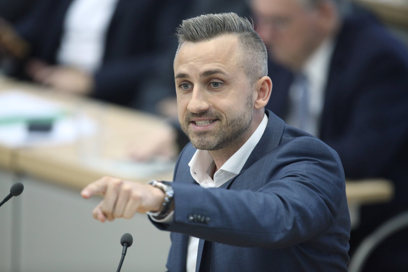 Alegeri în Saxonia-Anhalt duminică: AfD vizează primul acces la putere